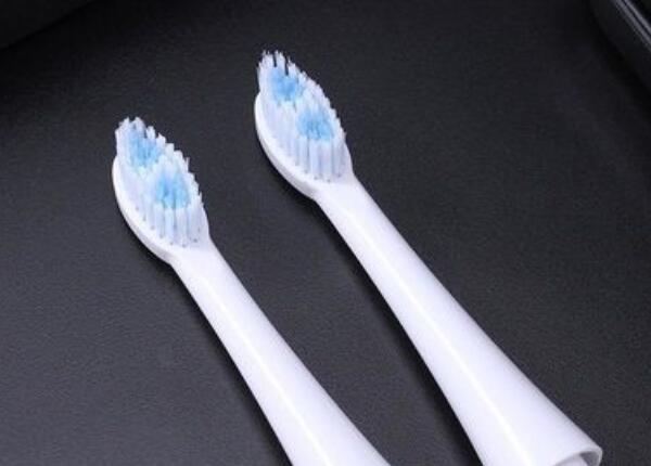 電動牙刷頭什么價(jià)格比較合適